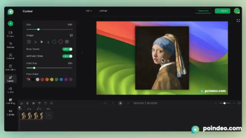 Make Professional Demos with Poindeo