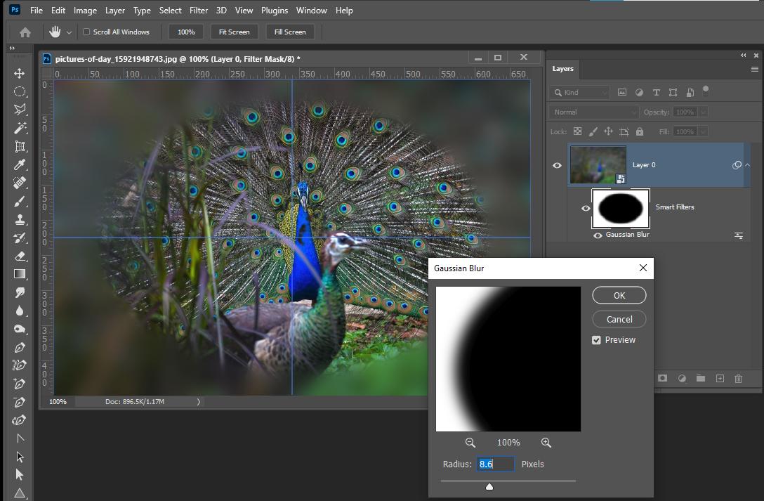 Blur Image with Photoshop Smart Filter