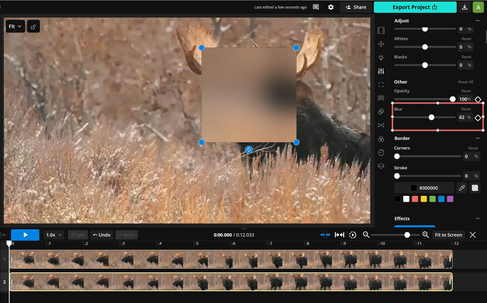 Top Blur Video Editor Online - Kapwing