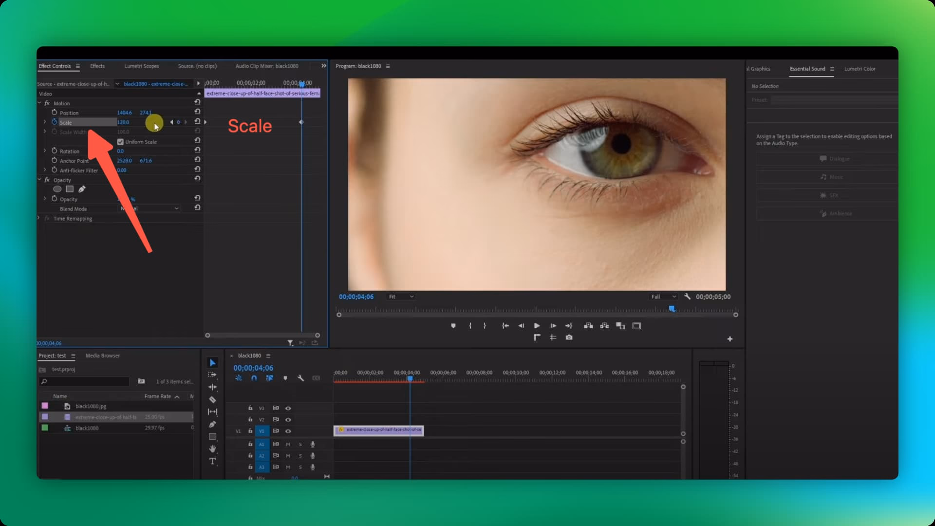 How to Zoom in on Adobe Premiere Pro Using Scale