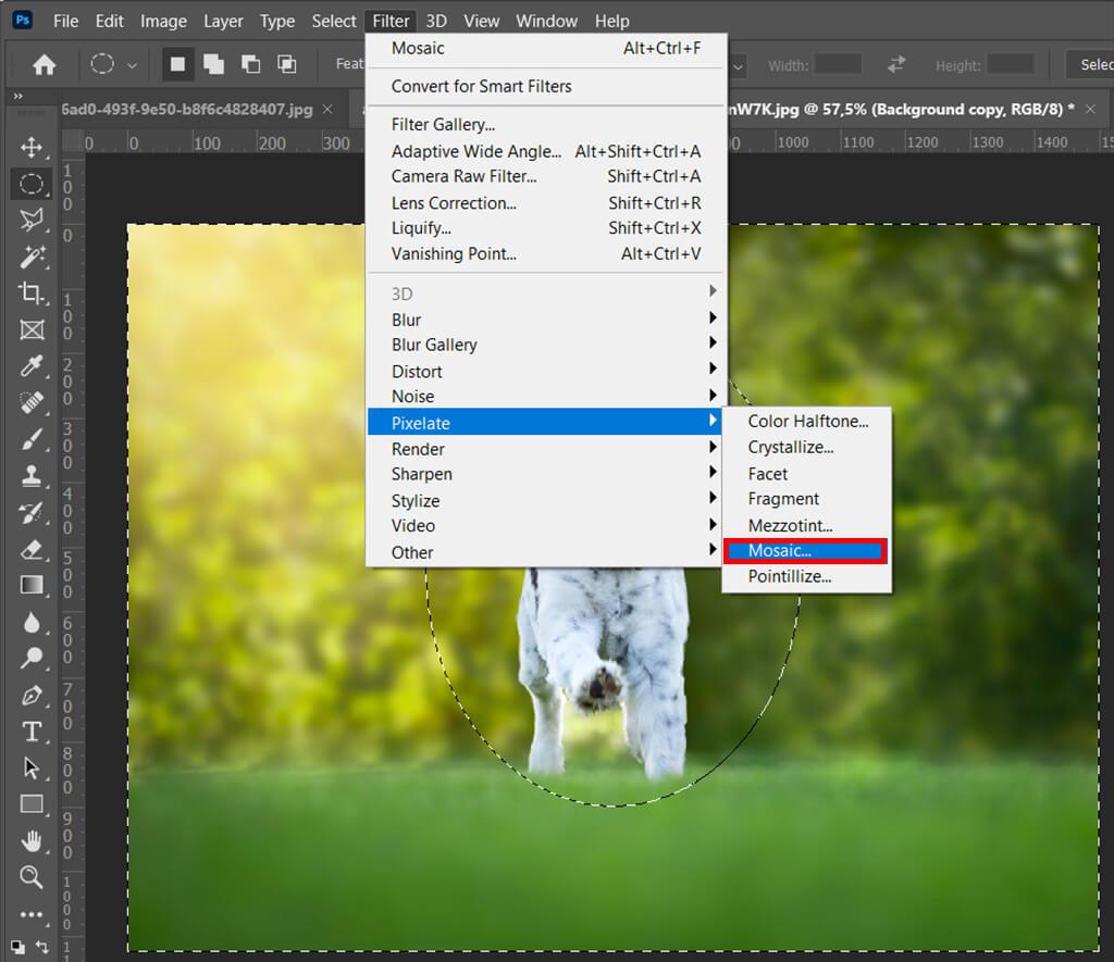 Pixelate Only Part of an Image in Photoshop