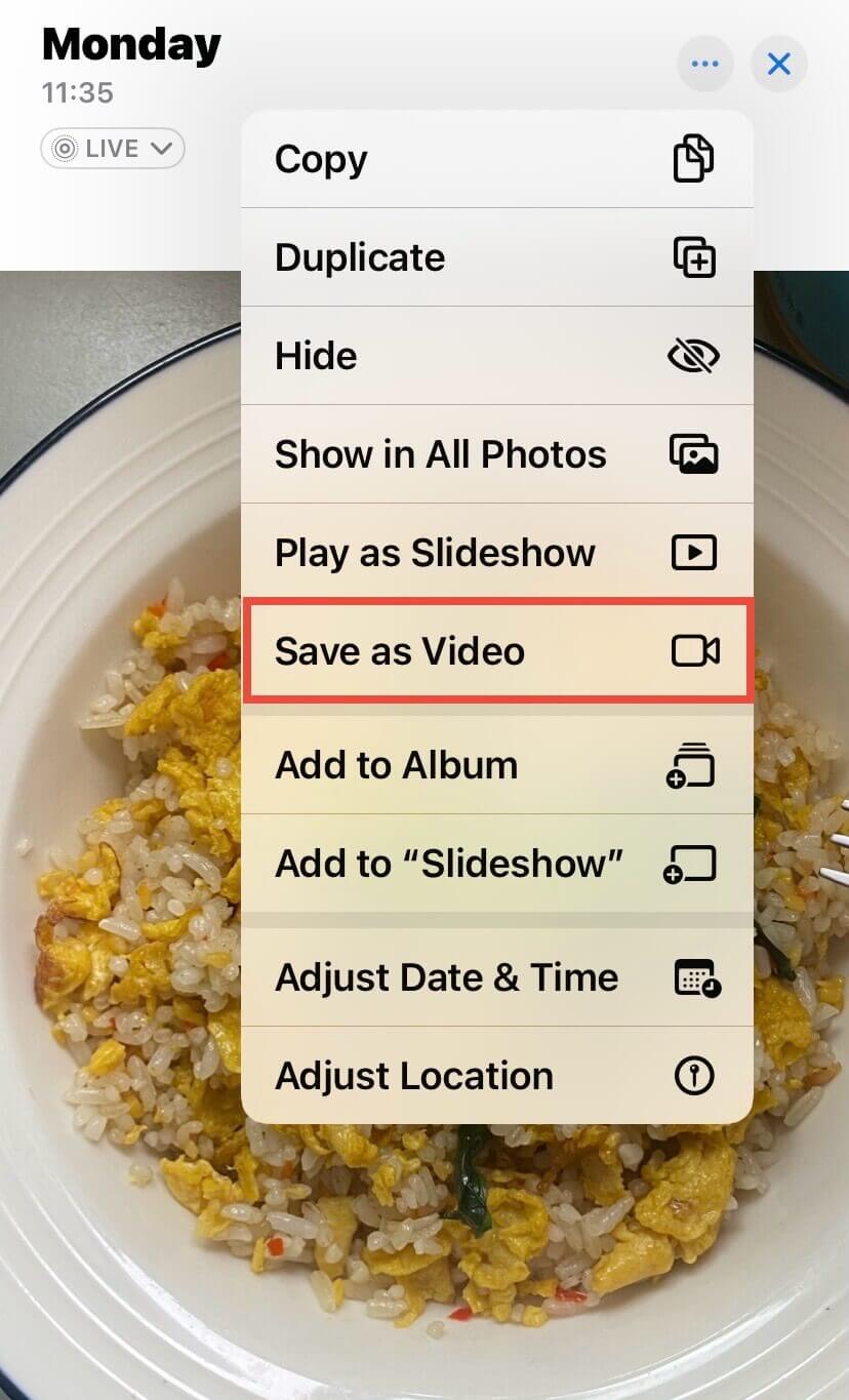 Turn Live Photo into Video on iPhone