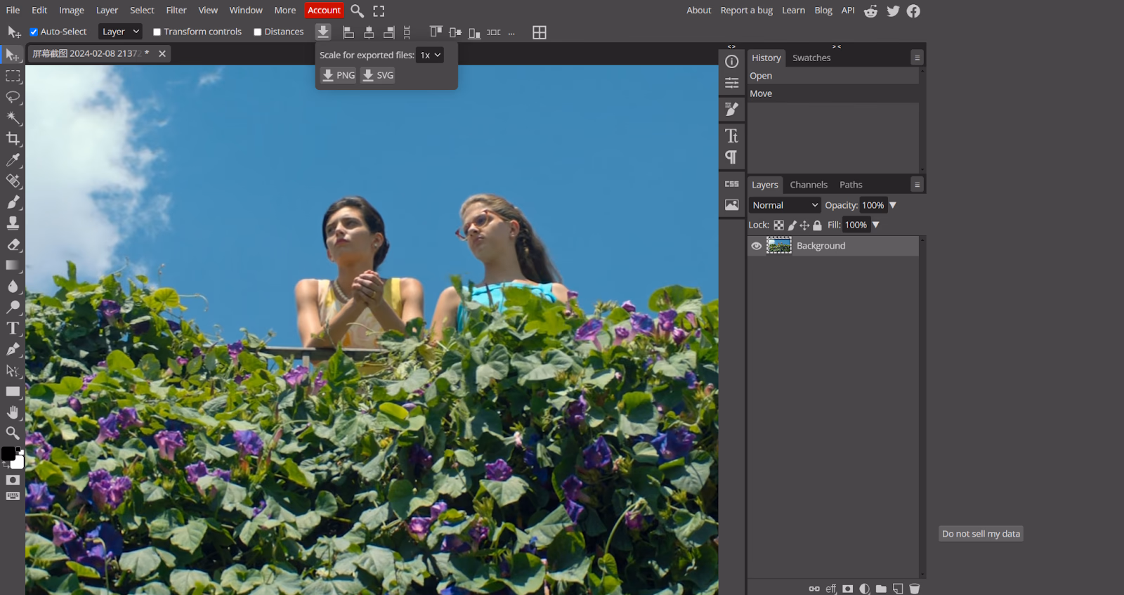 Zoom in on a Photo with Photopea