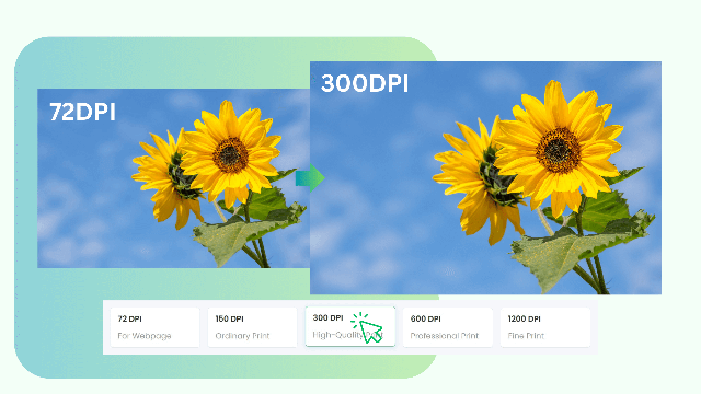 Free Online Tools For Videos Images Poindeo