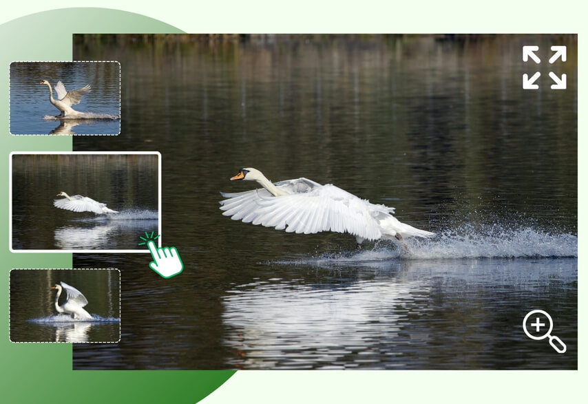 Preview Frame by Frame