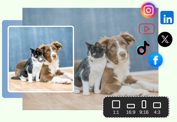 Multi-Platform Video Resizing