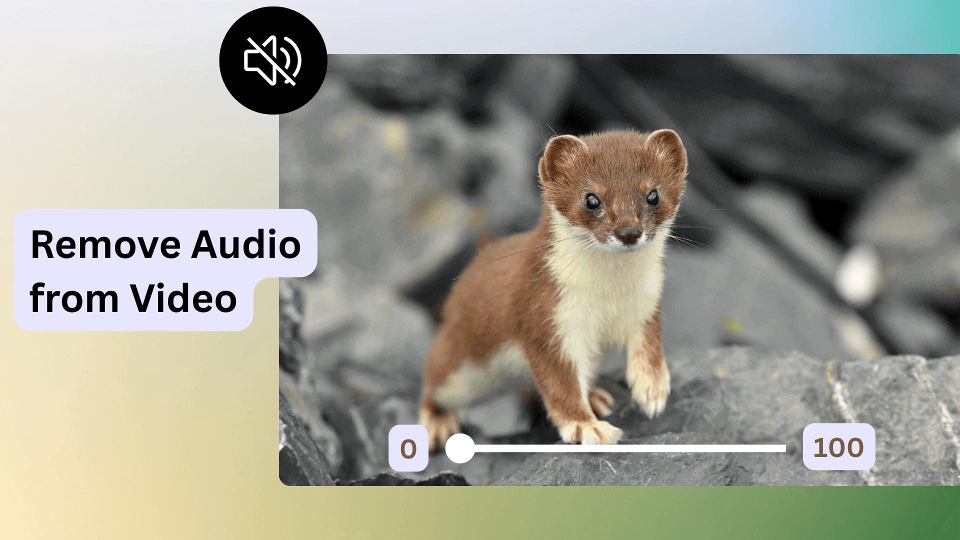 Remove Audio from Video Online