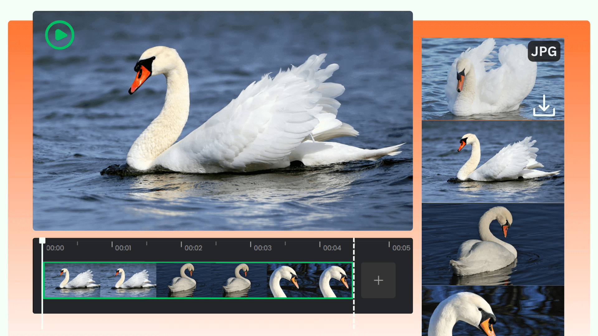 Video to JPG Converter Online